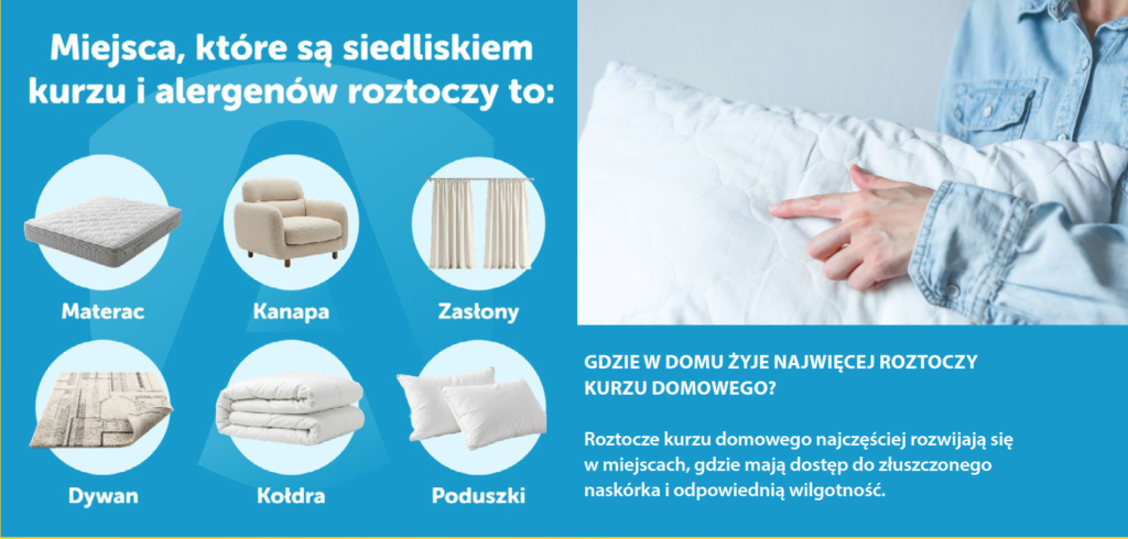 kurz domowy